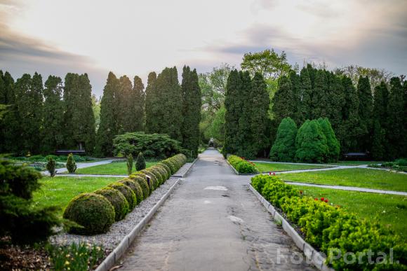 Ogród Botaniczny