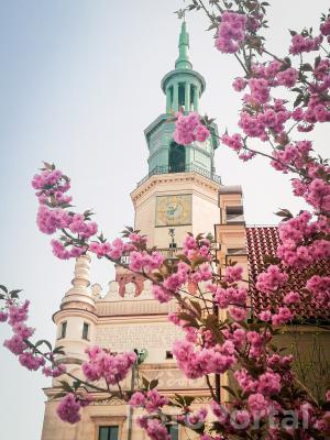 Wiosenny Poznań