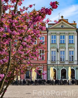 Stary Rynek