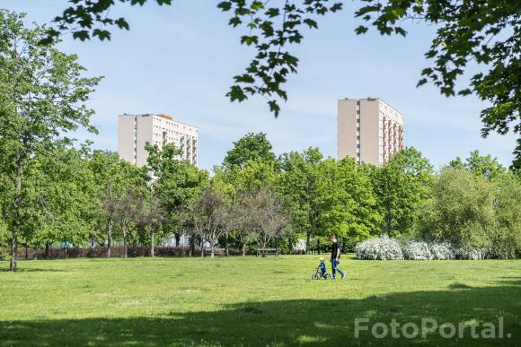 Park Czarneckiego