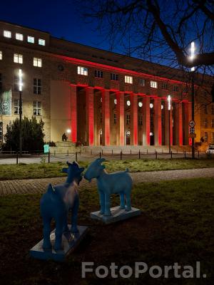 Uniwersytet Ekonomiczny