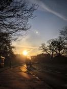 Poranek na Winogradach