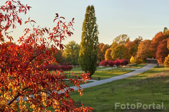 Jesień na Cytadeli