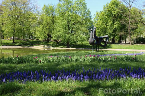 Kwiecień w parku K. Marcinkowskiego
