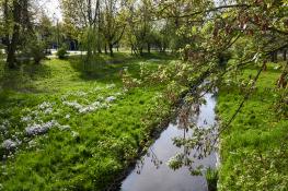 Zielony Park Wodziczki