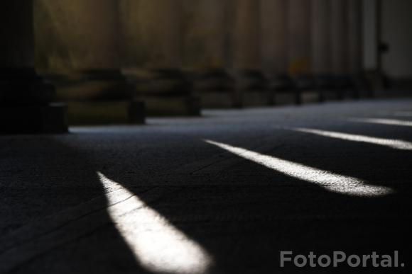 Światłocienie Poznania