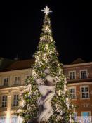 Choinka na starym rynku