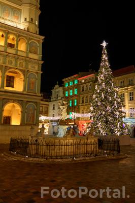 Świątecznie w Poznaniu