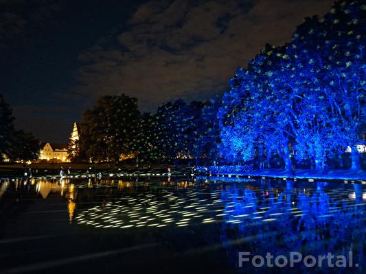 Opływając w kolory