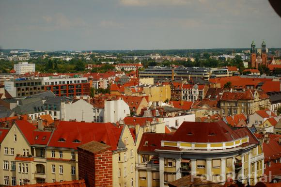 Panorama z Poznania