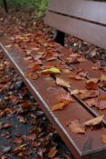 Jesienna ławka w Parku Sołackim
