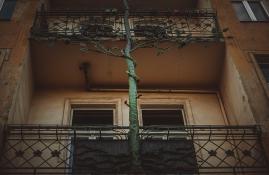 Drzewne balkony
