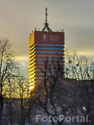 Blaski i cienie budynku UEP