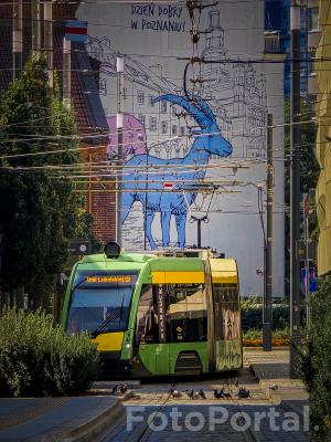 Dzień dobry w Poznaniu