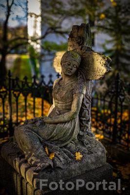 Cmentarz Zasłużonych Wielkopolan