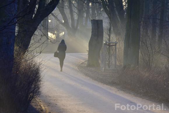 Światłocienie Poznania