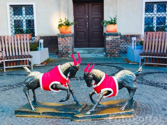 Poznańskie koziołki na święta