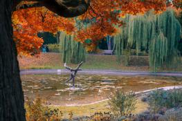 "Pod skrzydłami jesieni"