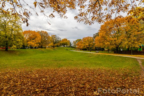 Jesienny  Poznań