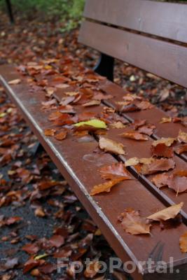 Jesienna ławka w Parku Sołackim