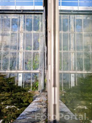 Okna Poznańskiej Palmiarni