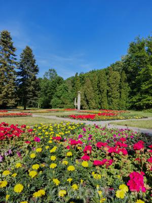 Słoneczny dzień na Cytadeli