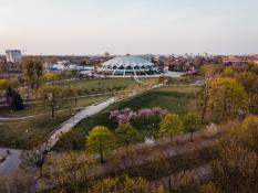 Arena wiosną