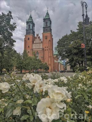 Bazylika Archikatedralna św. Apostołów Piotra i Pawła