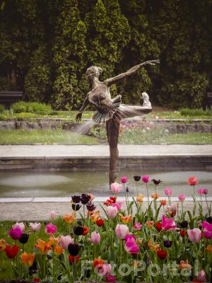 Baletnica - Ogród Botaniczny Uniwersytetu im. A. Mickiewicza