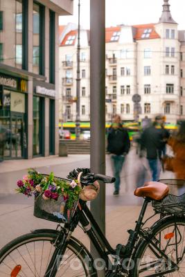 Poznański styl życia: Rowery i kwiaty przy Półwiejskiej