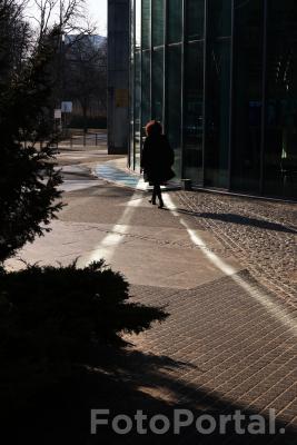 Światłocienie Poznania