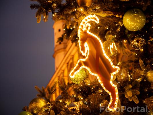 Świąteczny koziołek