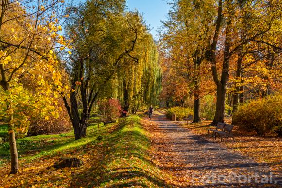 Park Wodziczki