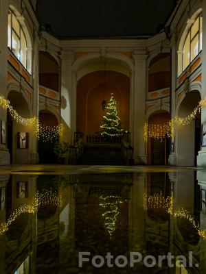 Dziedzice szkoły baletowej