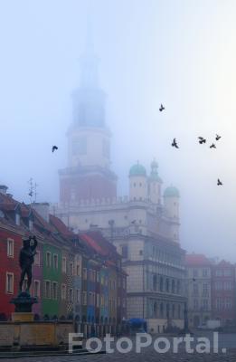 Stary Rynek