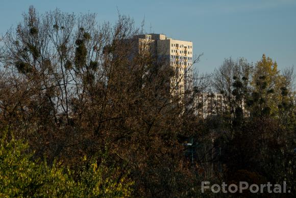 Ratajski blok też lubi się poopalać