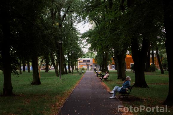 Odpoczynek w parku