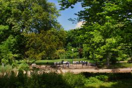 Park Wilsona
