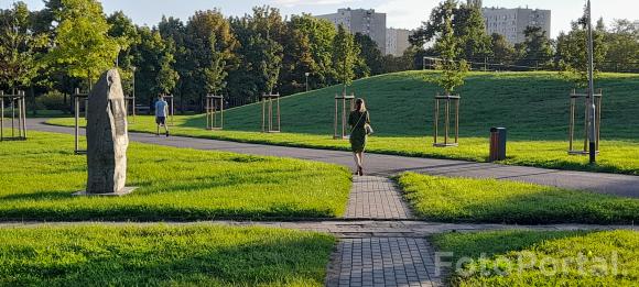 Parkowe ścieżki