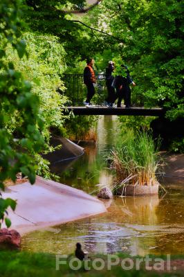 Park Wilsona
