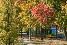 Pętla na Połabskiej - jesienny tramwaj :)