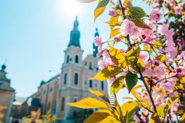 Wiosna na Placu Bernadyńskim