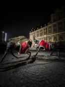 Tyrek i Pyrek w świątecznym wystroju