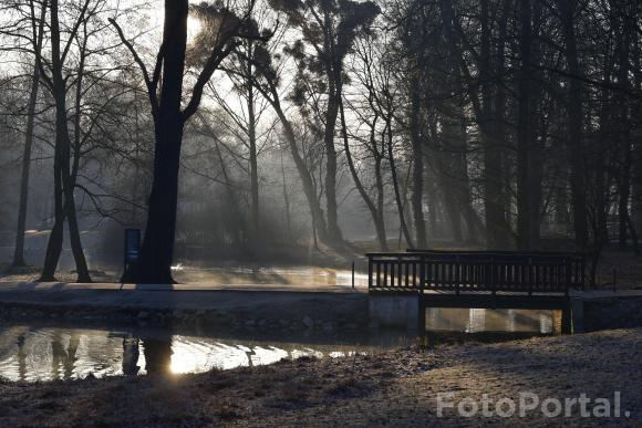 Światłocienie Poznania
