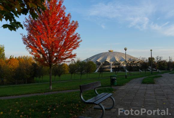 Arena jesienią