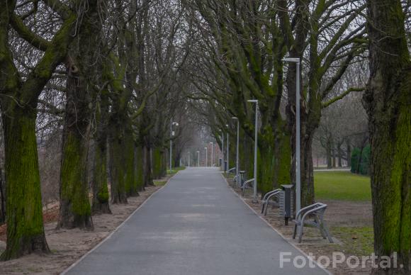 Oczekując za wiosną