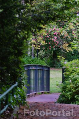Park Wilsona