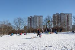 Idziemy na górkę na sanki!