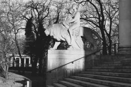 Światłocienie Poznania