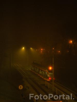 Mglista pestka